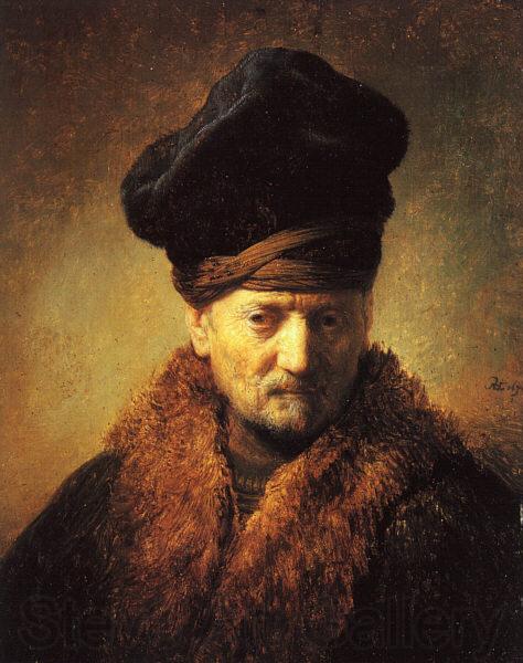 REMBRANDT Harmenszoon van Rijn Bust of an Old Man in a Fur Cap fj Spain oil painting art